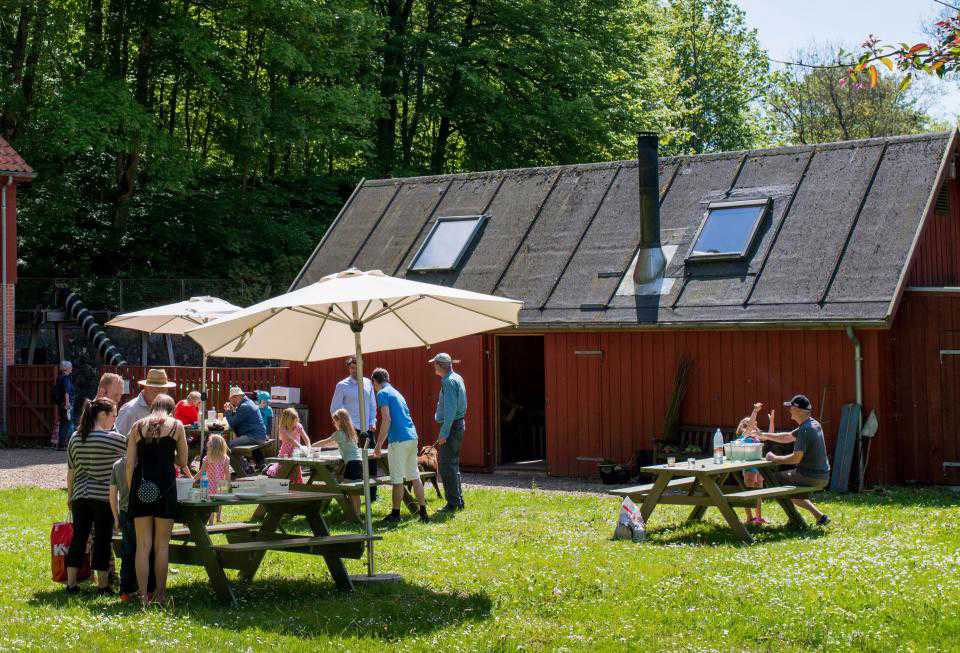 Picknic foran Randbøldalmuseet